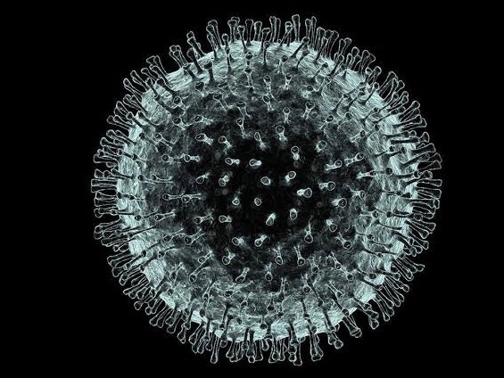 广东省人民政府关于企业复工和学校开学时间的通知